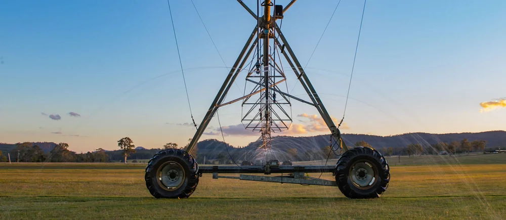 Robert's Turf Farm in Gympie