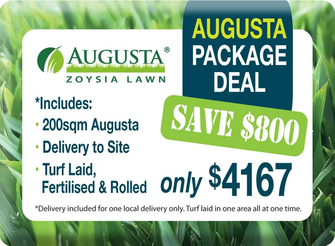 Augusta Zoysia Package Deal
