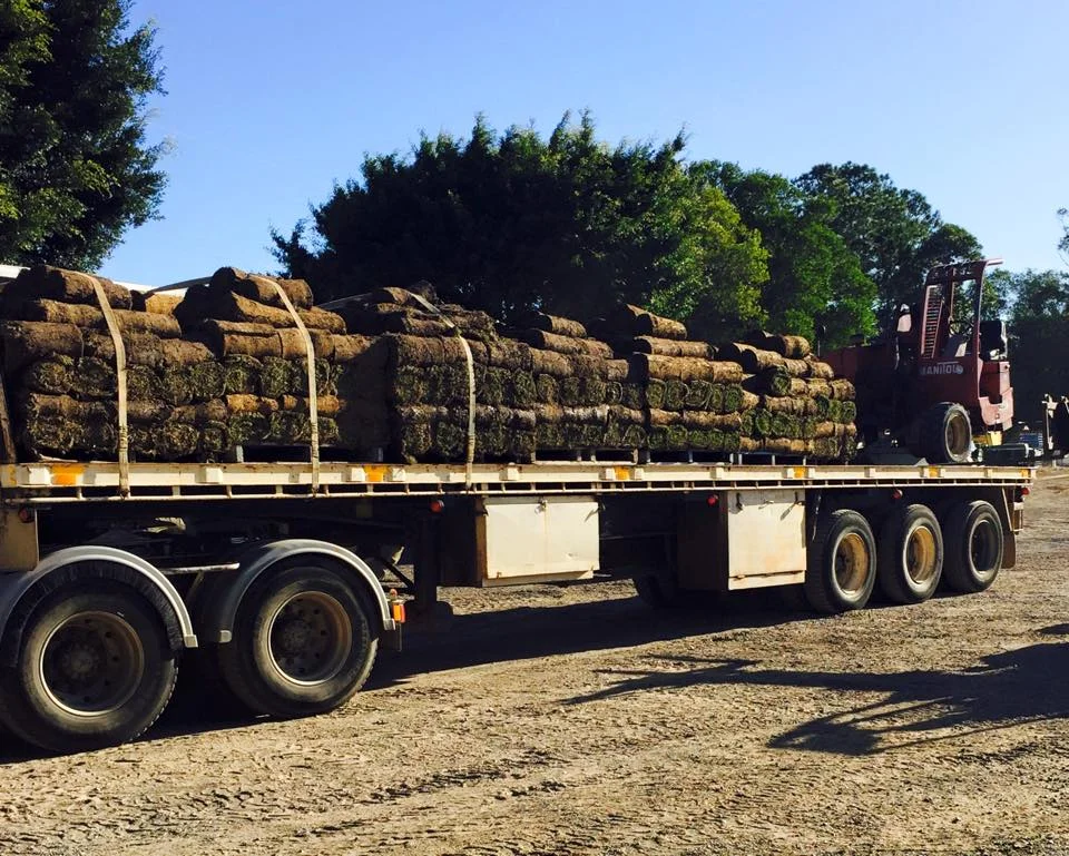 Turf Supply and Delivery in Sunshine Coast