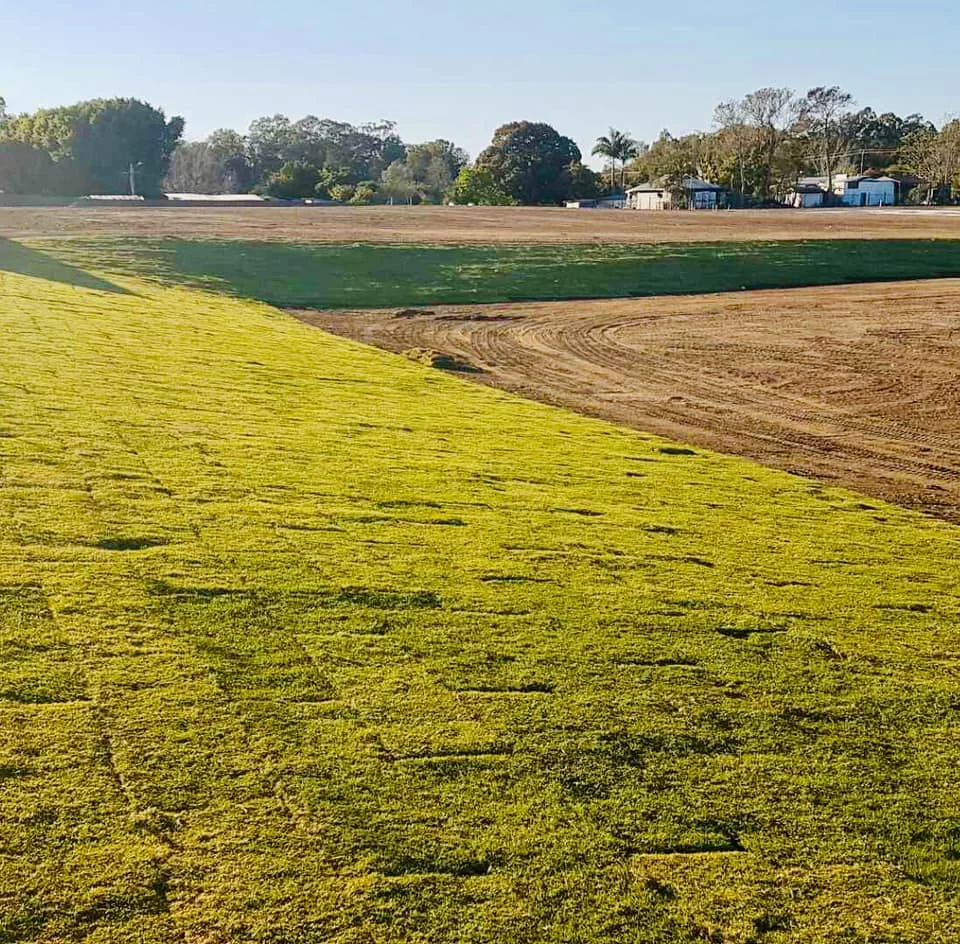 Robert's Turf Farm in Sunshine Coast